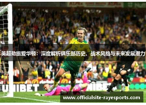 英超劲旅爱华顿：深度解析俱乐部历史、战术风格与未来发展潜力